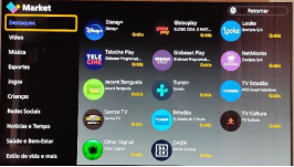 Disney + na minha TV – Panasonic do Brasil Limitada